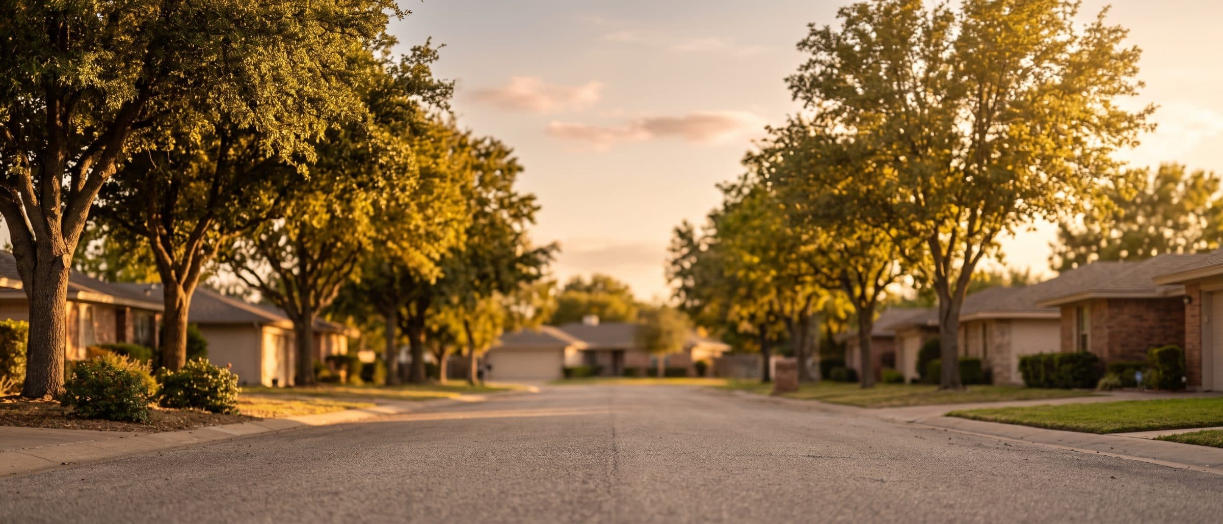 A quiet residential street at golden hour, trees along the sidewalk.